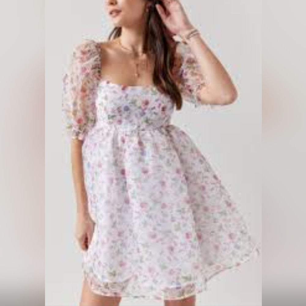 Francesca's Blue Rain Rayleen Mini Dress Babydoll Floral Organza Lolita S